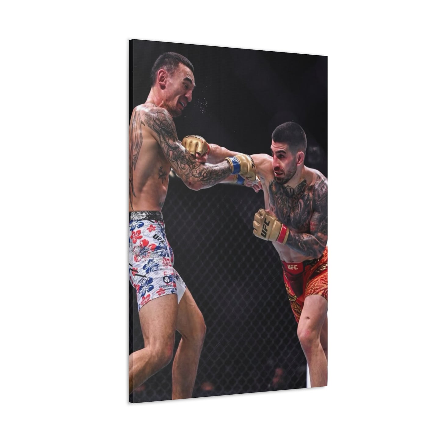 Holloway vs Topuria - Gallery Canvas